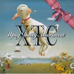 XTC - Upsy Daisy Assortment